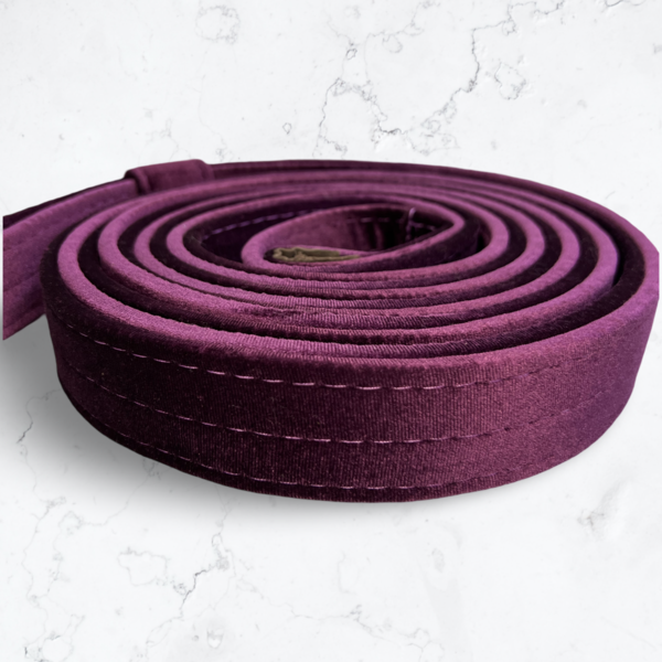 Циркові повітряні ремені посилені в бархаті 40 мм.