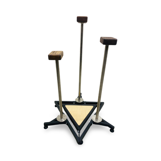 Canes on the “Star” Aluminum Collapsible Platform